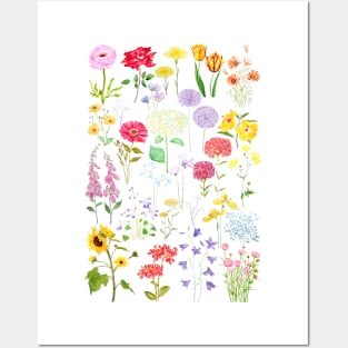 colorful botanical flowers collection 2020 Posters and Art